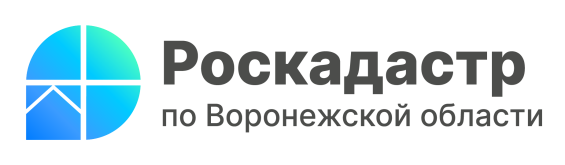 Август стал самым результативным месяцем по внесению территориальных зон с начала года.