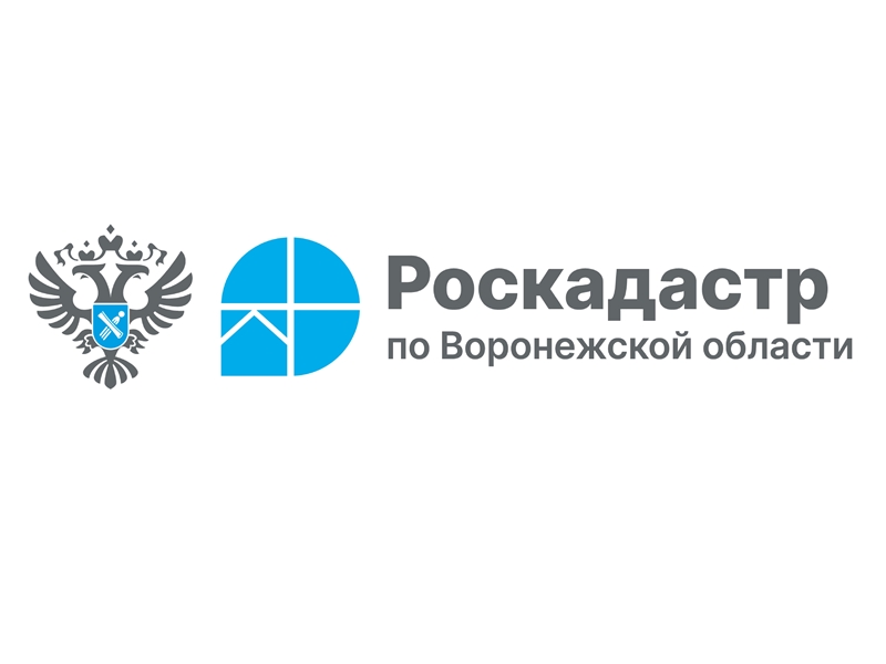 Воронежский Роскадастр подвел итоги 2024 года .